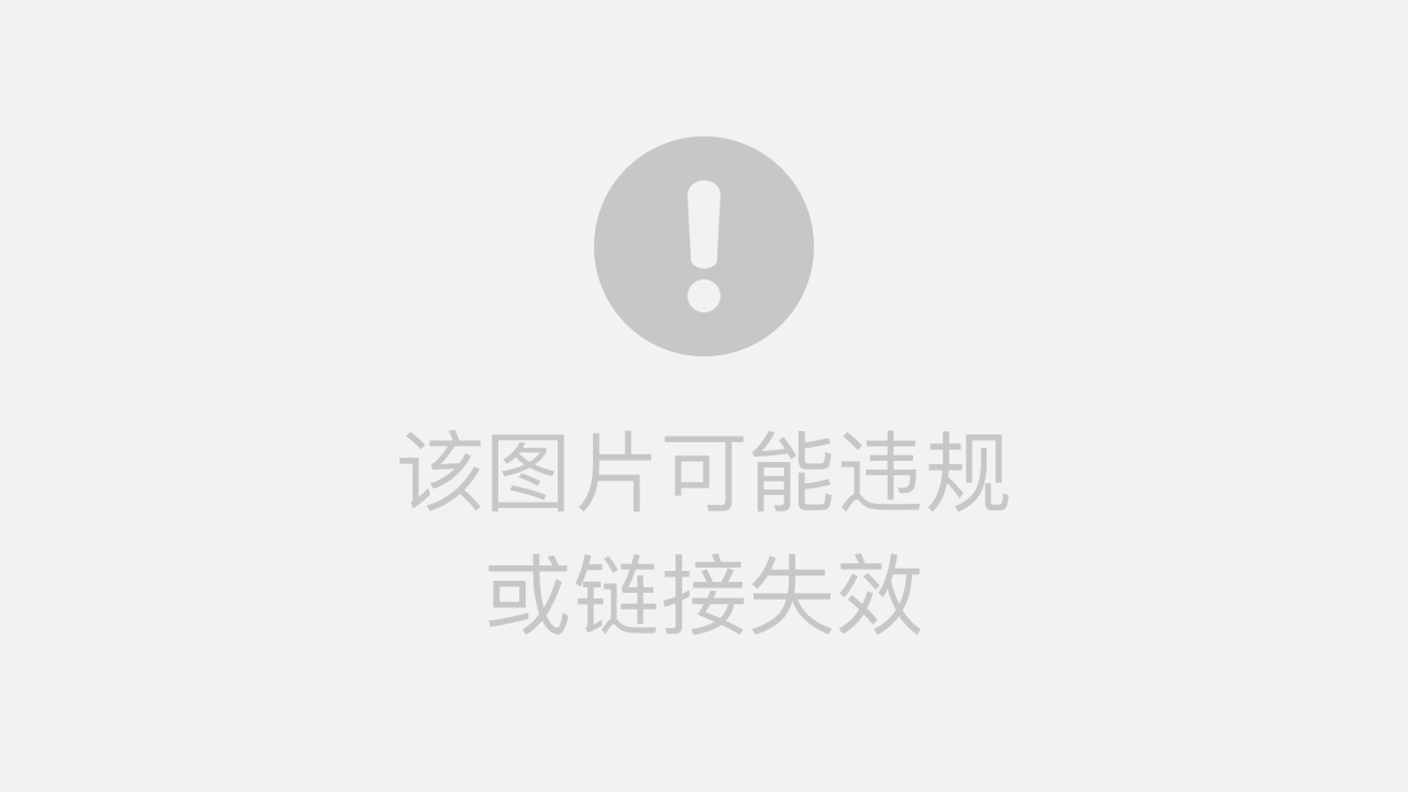 引言