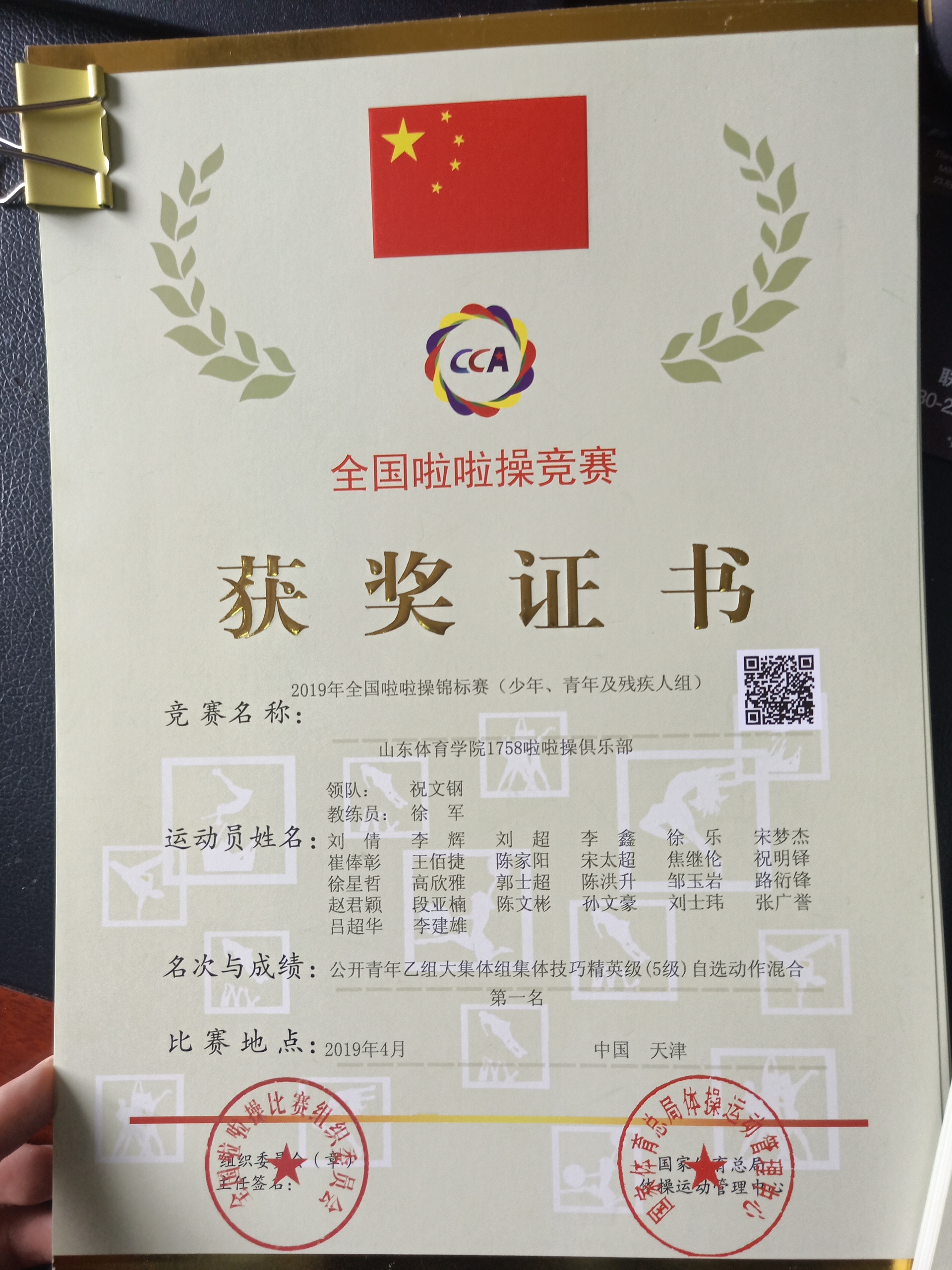 山东省一级运动员名单，荣耀与梦想的见证